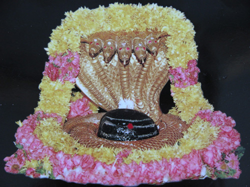 Mahashivaratri 2014 at Srisailam Temple Begins, Shivratri Brahmotsavam 2014 ... In 2014, Shivaratri annual Brahmotsavam will begin on February 20 ...